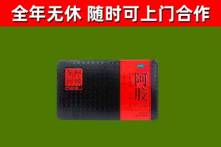 吉阳回收阿胶