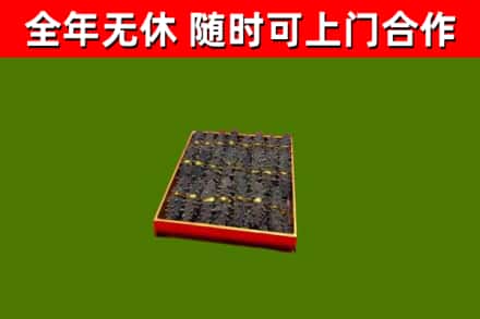 吉阳回收海参